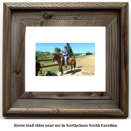 horse trail rides near me in Northchase, North Carolina